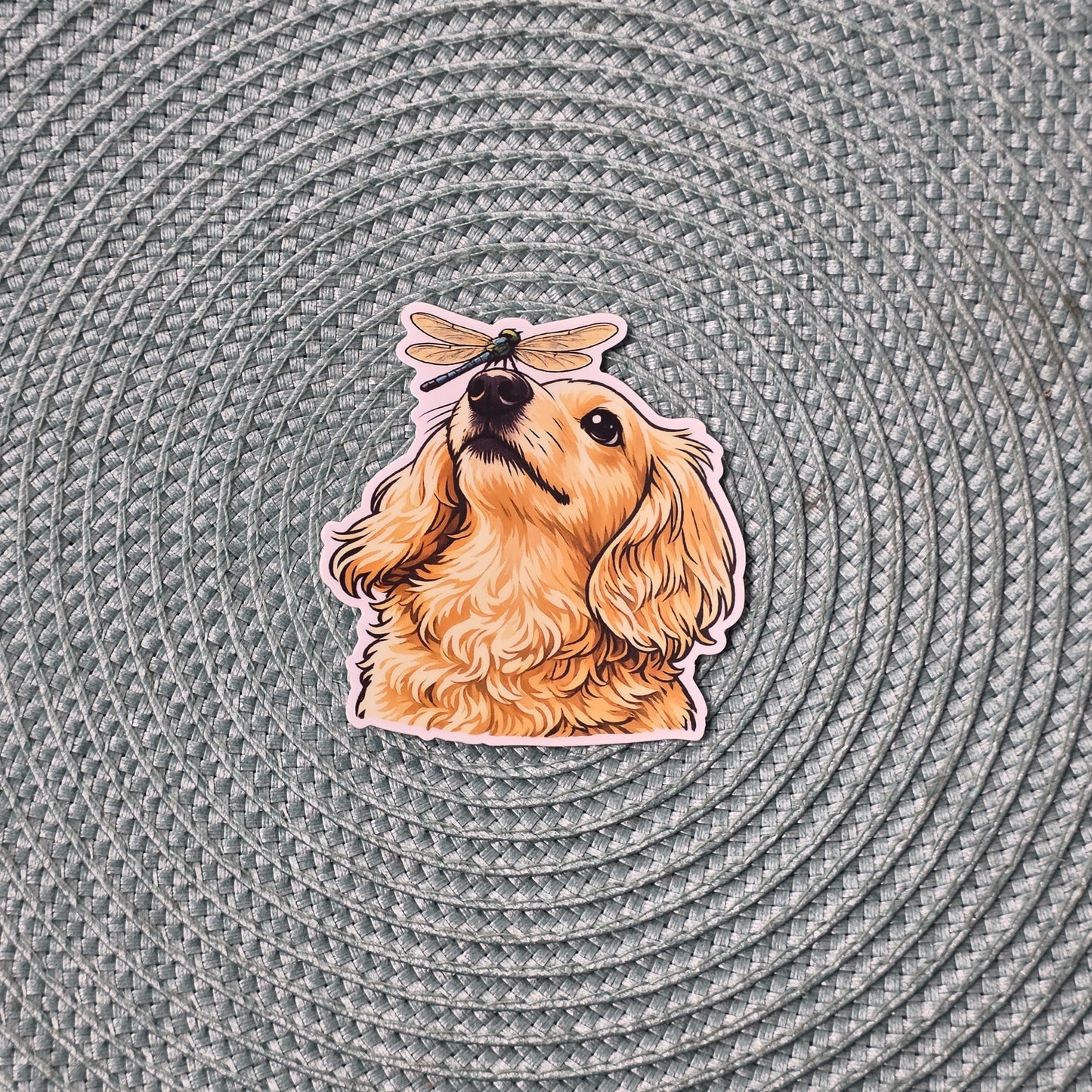Sticker - Long Haired English Cream Dachshund & Dragonfly