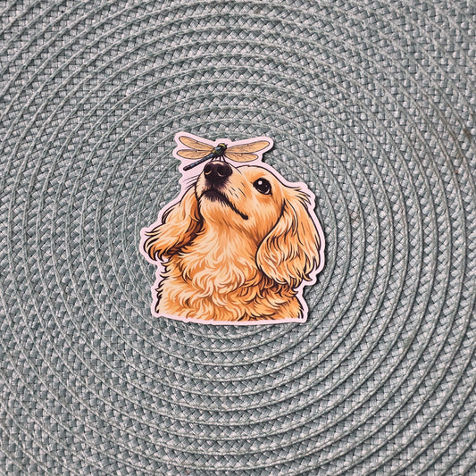 Sticker - Long Haired English Cream Dachshund & Dragonfly